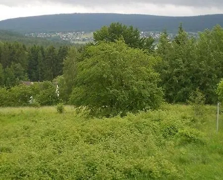 Fichtelwald *